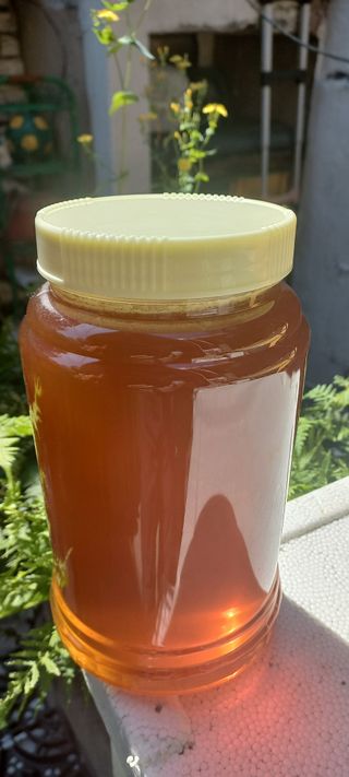 한학수님의 작성글 사진