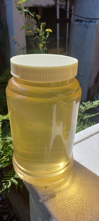 한학수님의 작성글 사진