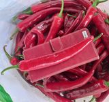 팜모닝 · 게시글 이미지