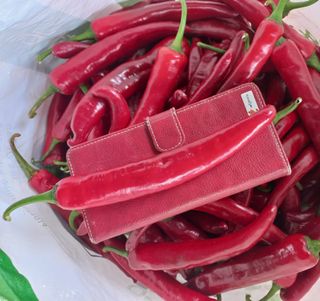 박린님의 작성글 사진