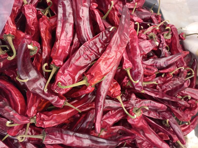 박린님의 장터 판매 상품 [건고추 600g] 첨부 사진