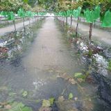 팜모닝 8월 내 작물 자랑하기·참여글 게시글 이미지