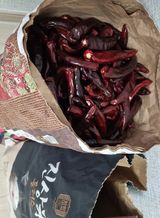 팜모닝 고추·수확 게시글 이미지