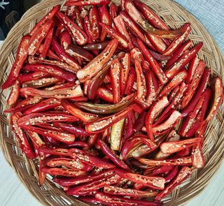 강신근님의 고추 · 수확 작성글 사진