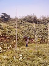 팜모닝 기타작물·영농일지 게시글 이미지