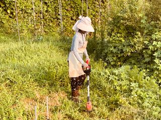 김회철님의 기타작물 · 영농일지 작성글 사진