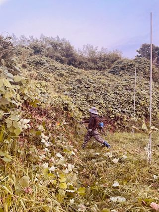 김회철님의 기타작물 · 영농일지 작성글 사진