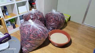 제주농부님의 참깨 · 자유게시판 작성글 사진