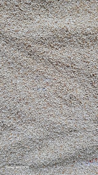 제주농부님의 참깨 · 자유게시판 작성글 사진