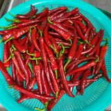 팜모닝 고추·수확 게시글 이미지