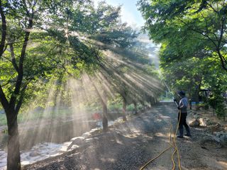 쌍둥이네빠끔살이님의 8월 내 작물 자랑하기 · 참여글 작성글 사진