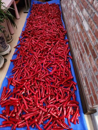 최성근 님의 장터이야기 · 자유게시판 작성글 사진