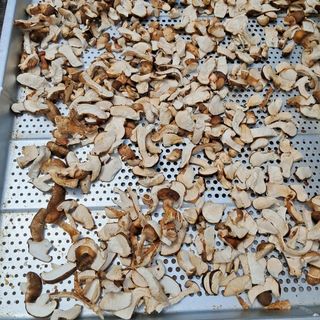 정순희 님의 버섯 · 일상 작성글 사진