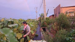 심지님의 8월 내 작물 자랑하기 · 참여글 작성글 사진