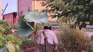 심지님의 8월 내 작물 자랑하기 · 참여글 작성글 사진