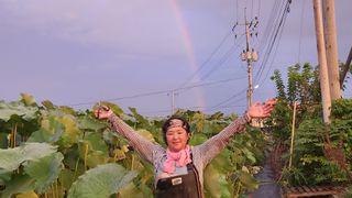 심지님의 8월 내 작물 자랑하기 · 참여글 작성글 사진