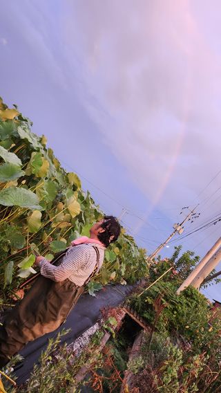 심지님의 8월 내 작물 자랑하기 · 참여글 작성글 사진