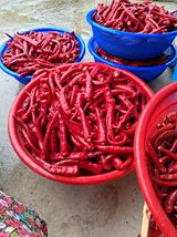 팜모닝 8월 내 작물 자랑하기·참여글 게시글 이미지