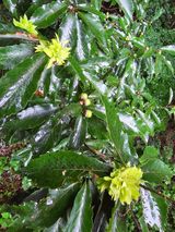 팜모닝 자유주제·자유게시판 게시글 이미지