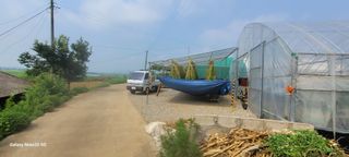 제주농부님의 참깨 · 자유게시판 작성글 사진