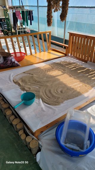 제주농부님의 참깨 · 자유게시판 작성글 사진