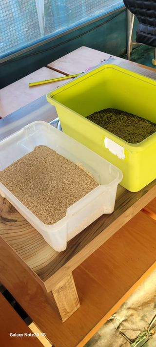 제주농부님의 참깨 · 자유게시판 작성글 사진