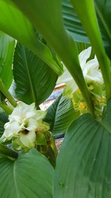 팜모닝 기타작물·자유게시판 게시글 이미지