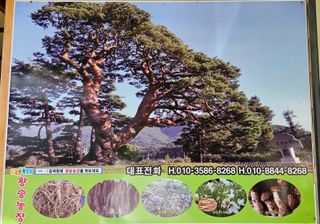 신현길 (님의 8월 내 작물 자랑하기 · 참여글 작성글 사진