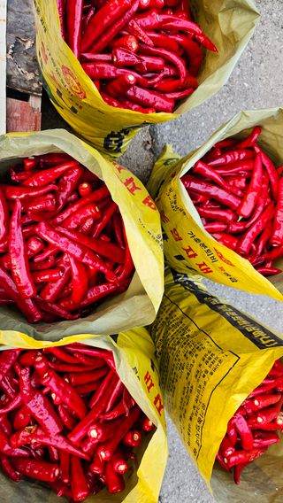 신현길 (님의 8월 내 작물 자랑하기 · 참여글 작성글 사진