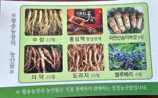 신현길 (님의 8월 내 작물 자랑하기 · 참여글 작성글 사진