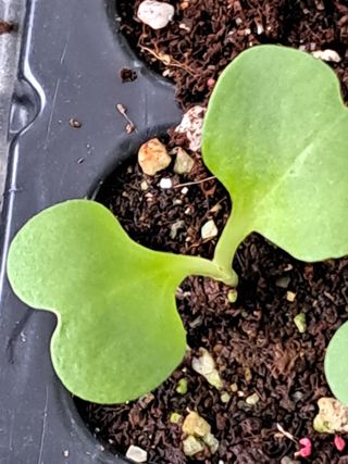 이종춘님의 자유주제 · 자유게시판 작성글 사진