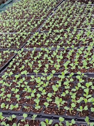 이종춘님의 자유주제 · 자유게시판 작성글 사진