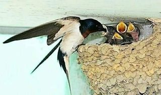 다둥이네농장님의 자유주제 · 자유게시판 작성글 사진