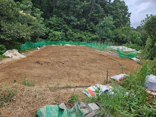 이영재님의 자유주제 · 자유게시판 작성글 사진