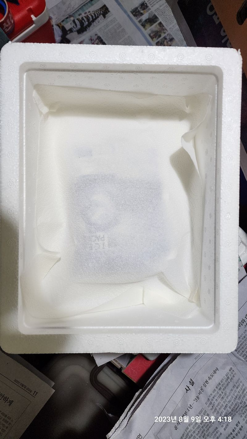 청운큐브팜(서희수)님의 장터 판매 상품 [송화버섯 1kg 단위] 첨부 사진