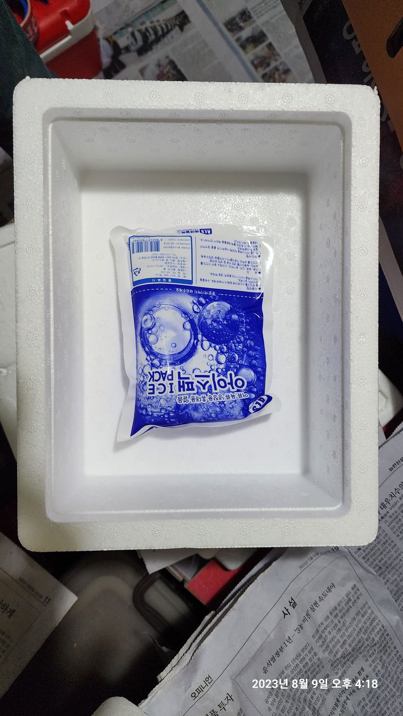 청운큐브팜(서희수)님의 장터 판매 상품 [송화버섯 1kg 단위] 첨부 사진