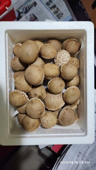 청운큐브팜(서희수)님의 작성글 사진