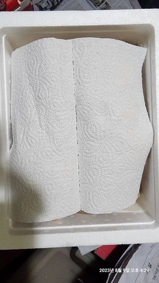 청운큐브팜(서희수)님의 작성글 사진