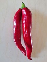 팜모닝 8월 내 작물 자랑하기·참여글 게시글 이미지