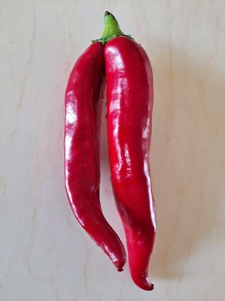 이연주님의 8월 내 작물 자랑하기 · 참여글 작성글 사진