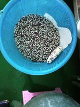 팜모닝 자유주제·사진전 게시글 이미지