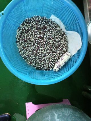 들꽃님의 자유주제 · 사진전 작성글 사진