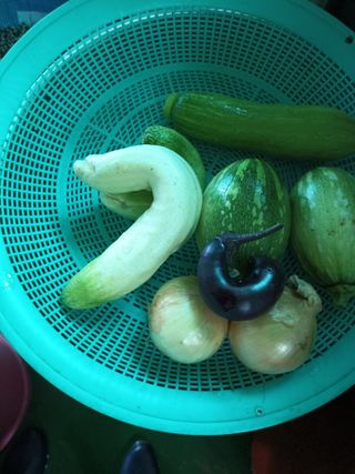 들꽃님의 자유주제 · 사진전 작성글 사진