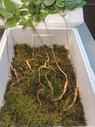 김봉호님의 작성글 사진