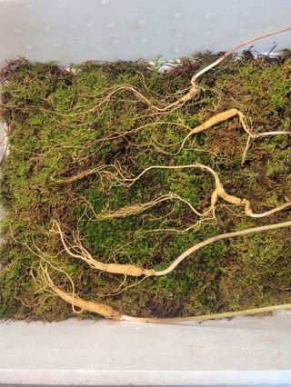 김봉호님의 작성글 사진