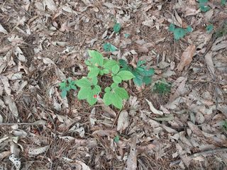 김봉호님의 작성글 사진