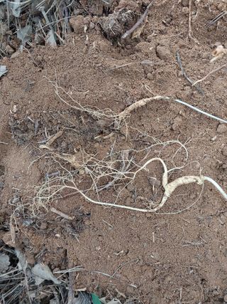 김봉호님의 작성글 사진