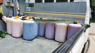 장관덕님의 8월 내 작물 자랑하기 · 참여글 작성글 사진