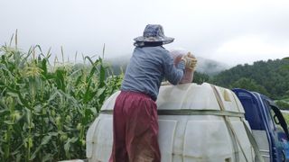 장관덕님의 8월 내 작물 자랑하기 · 참여글 작성글 사진