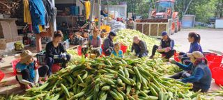 장관덕님의 8월 내 작물 자랑하기 · 참여글 작성글 사진